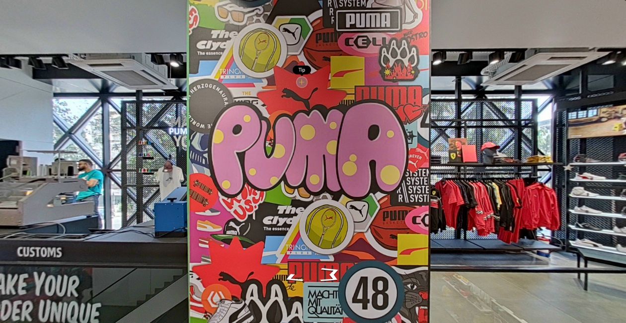 Puma Demo